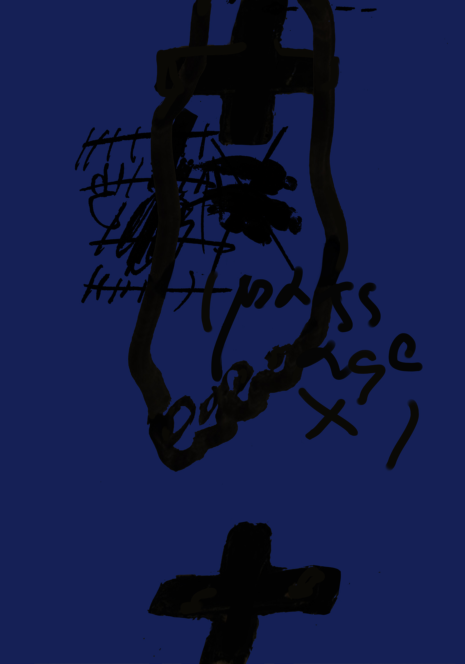 PassageX