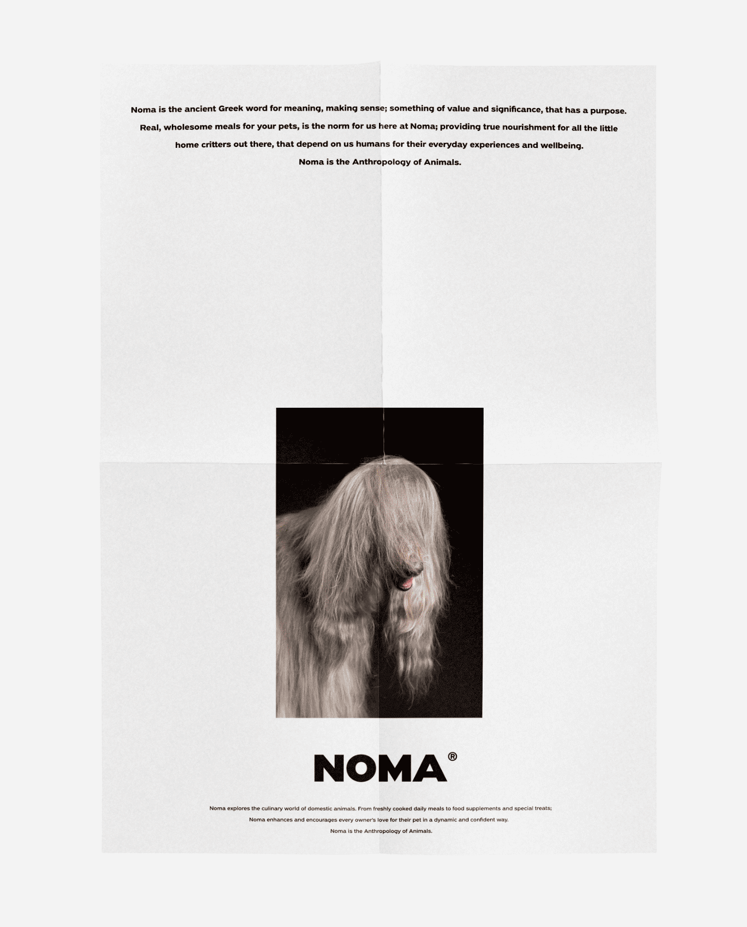 NOMA™